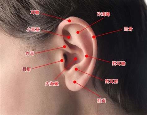 打耳洞數量|三、打耳洞需注意的安全性和風險